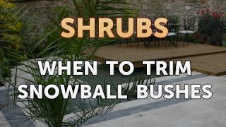 When to Trim Snowball Bushes [upl. by Vita]