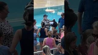 Don’t touch the hair 🤣🥊 Tom mime Seaworld laughs seaworldmime funny alwayslaughing [upl. by Eahc111]