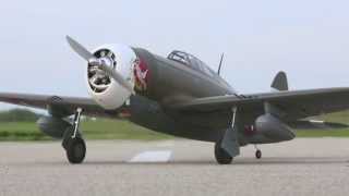 P47D1 Thunderbolt 60 ARF by Hangar 9 [upl. by Mallen]