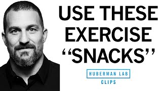 quotExercise Snacksquot to Improve amp Maintain Fitness  Dr Andrew Huberman [upl. by Aday]