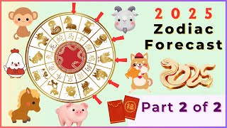 2025 Snake Year Chinese Zodiac Forecast  Part 2 amp Summary [upl. by Sybyl]