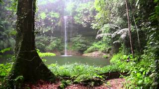 Natur Meditation  Regenwald Sounds und Regen [upl. by Noli]