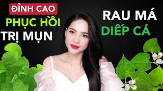 ĐỈNH CAO TRỊ MỤN PHỤC HỒI DA BẰNG RAU MÁ DIẾP CÁ  NGONBỔRẺ GIVE AWAY Ha Linh Official [upl. by Eidnam]