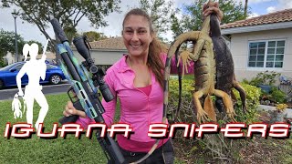 Iguana Hunting at South Florida Homes with Iguana Snipers [upl. by Itak]