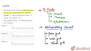 Arrange the parts of alimentary canal of cockroach in correct order  I Stomodaeal valve [upl. by Fonz]