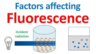 Factors affecting Fluorescence [upl. by Yelrah476]