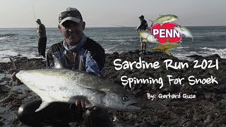 Sardine Run 2021 Targeting Natal Snoek with Gerhard Guse [upl. by Konikow337]