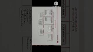 4 August 2024 Adrenergic Drug Sympathomimetics With preparation shortvideo shorts viralvideo [upl. by Ianahs525]