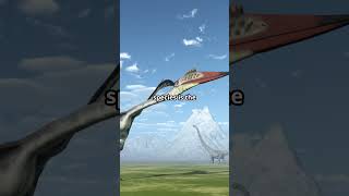 Prehistoric Flying Reptiles of Sudan adventure sudan prehistoric flyingreptiles [upl. by Bellew]