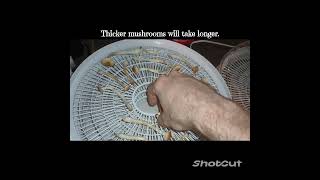 Mushroom Cultivation 101 Dehydrating and storage [upl. by Adlen]