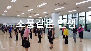 소풍같은 인생 라인댄스The life like a picnic Line Dance [upl. by Renado]