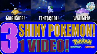 LIVE 3 SHINY POKEMON IN ORAS SHINY Magikarp Tentacool and Wailmer Shiny in every route EP 6 [upl. by Lein]