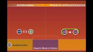 Heparin animation [upl. by Lilllie]