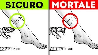 12 Consigli Per Salvarti la Vita in Una Situazione Critica [upl. by Briggs902]