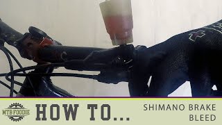 Shimano Brake Bleeding  How to Guide [upl. by Nneb623]