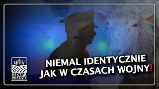 NIEMAL IDENTYCZNIE JAK W CZASACH WOJNY  HEKTAR WIEDZY [upl. by Strauss]