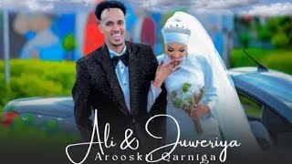 ALI ZAKI FT ABDJIBAR GACALIYE OO RUXAY MASALAXA  JIMCAALOW SEEDI  AROOSKII HIBAAQ IYO JIMCAALE [upl. by Haroppizt953]