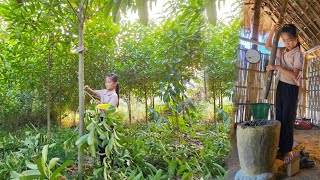 Phuong Vy diligently trims the garden branches and then poundes rice to cook when her father is away [upl. by Eus]