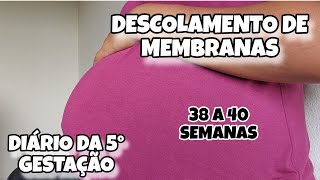 DIARIO DA 5° GRAVIDEZ ‐ DESCOLAMENTO DE MEMBRANA  TAMPÃO  DESABAFO  38 Á 40 SEMANAS [upl. by Millburn]