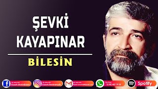 Şevki Kayapınar  BİLESİN [upl. by Sixela]