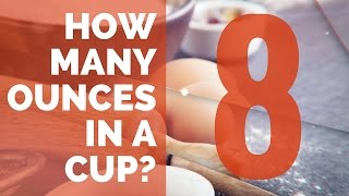 How Many Ounces in a Cup  Conversion Guide [upl. by Riocard]