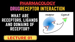 Drug Receptor Interaction  Receptors Pharmacology Part 1 What is Receptor  By Muneeb [upl. by Nauqan427]