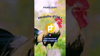 Faites chanter votre coq pour la médaille d’OR de Léon Marchand [upl. by Ries]