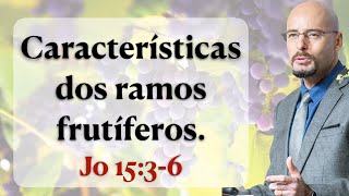 CARACTERÍSTICAS DOS RAMOS FRUTÍFEROS João 1536 Pr Glauber Manfredini [upl. by Letisha]