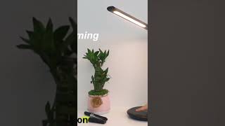 AFROG 5th Gen Multifunctional LED Desk Lamp with USB Charging Port1800Lux Super Bright [upl. by Arnie]