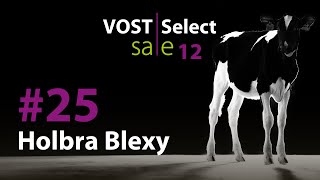 lot 25  Holbra Blexy [upl. by Ardnoik]