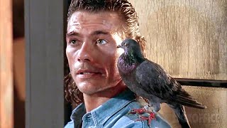 JCVD fait équipe avec un pigeon  Chasse à lhomme  Extrait VF [upl. by Dorene945]