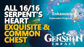 All The Serpents Heart Exquisite Chests amp Common Chest Genshin Impact [upl. by Kama394]