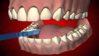 How to brush your teeth Learn in 4 simple steps [upl. by Ewan]