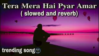 Tera Mera Hai pyar Amar Lofi  Ishq murshid [upl. by Rot]