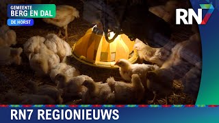 Groesbeekse boeren nemen maatregelen door besmetting Kleef  RN7 REGIONIEUWS [upl. by Antonetta]