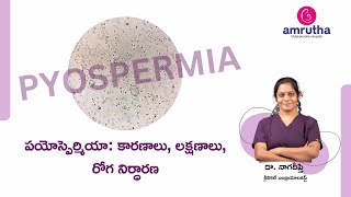 what is Pyospermia  Causes Symptoms amp Diagnosis [upl. by Isador]