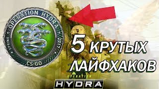 5 ЛАЙФХАКОВ В ОПЕРАЦИИ HYDRA КАК ПОЛУЧИТЬ БРИЛЛИАНТОВУЮ МЕДАЛЬ [upl. by Aital154]