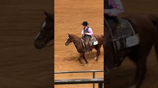 AQHA trail class [upl. by Ardnaek898]