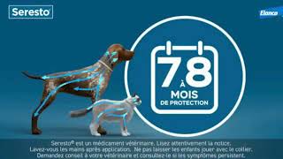 TOP 3  MEILLEUR PRODUIT ANTIPUCES ET ANTITIQUES POUR CHAT 2024 [upl. by Matteo]