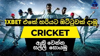 1xbet how to betting cricket event step by step sinhala winning tips meke money online  earn money [upl. by Attennyl]