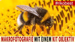 MAKROFOTOGRAFIE 📷 Anfänger TIPPS für tolle Fotos mit einem Kitobjektiv 📷 und Makro Zwischenringen [upl. by Amsden177]