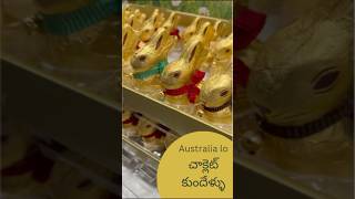 Easter Special Chocolates in Australia  Chocolate Rabbits  Telugu Vlogs [upl. by Eanat]