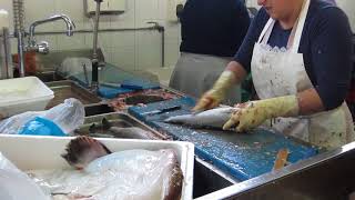 Angeiras fish market  Mercado do peixe de Angeiras [upl. by Wiltz]