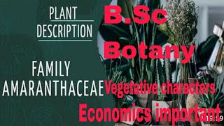 Family Amaranthaceae  Vegetative characters Economic Importance BSc 2 year  Hindi and English [upl. by Heinrik529]