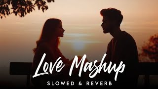 Love Mashup  Tu Hi Dil Tu Jaan  Ve Haniya  Slow amp Reverb⤵️ [upl. by Jemmy]