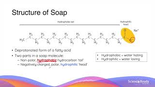 What is Saponification Structure and Action of Soaps and Detergents  HSC Chemistry [upl. by Youngman]