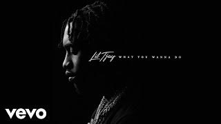 Lil Tjay  What You Wanna Do Official Audio [upl. by Loeb]