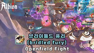 OneGin vs Upper Class  브라이들드퓨리Bridled Fury  ZvZ  阿尔比恩  알비온온라인 [upl. by Dlarrej]