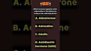 Urinary System MCQ biology neet neet2025exam [upl. by Eedyak]