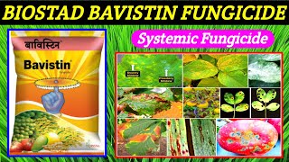 bavistin fungicidebistadCarbendazim50WPbavistin fungicide price dose work result  CG KISAN TV [upl. by Adnihc]